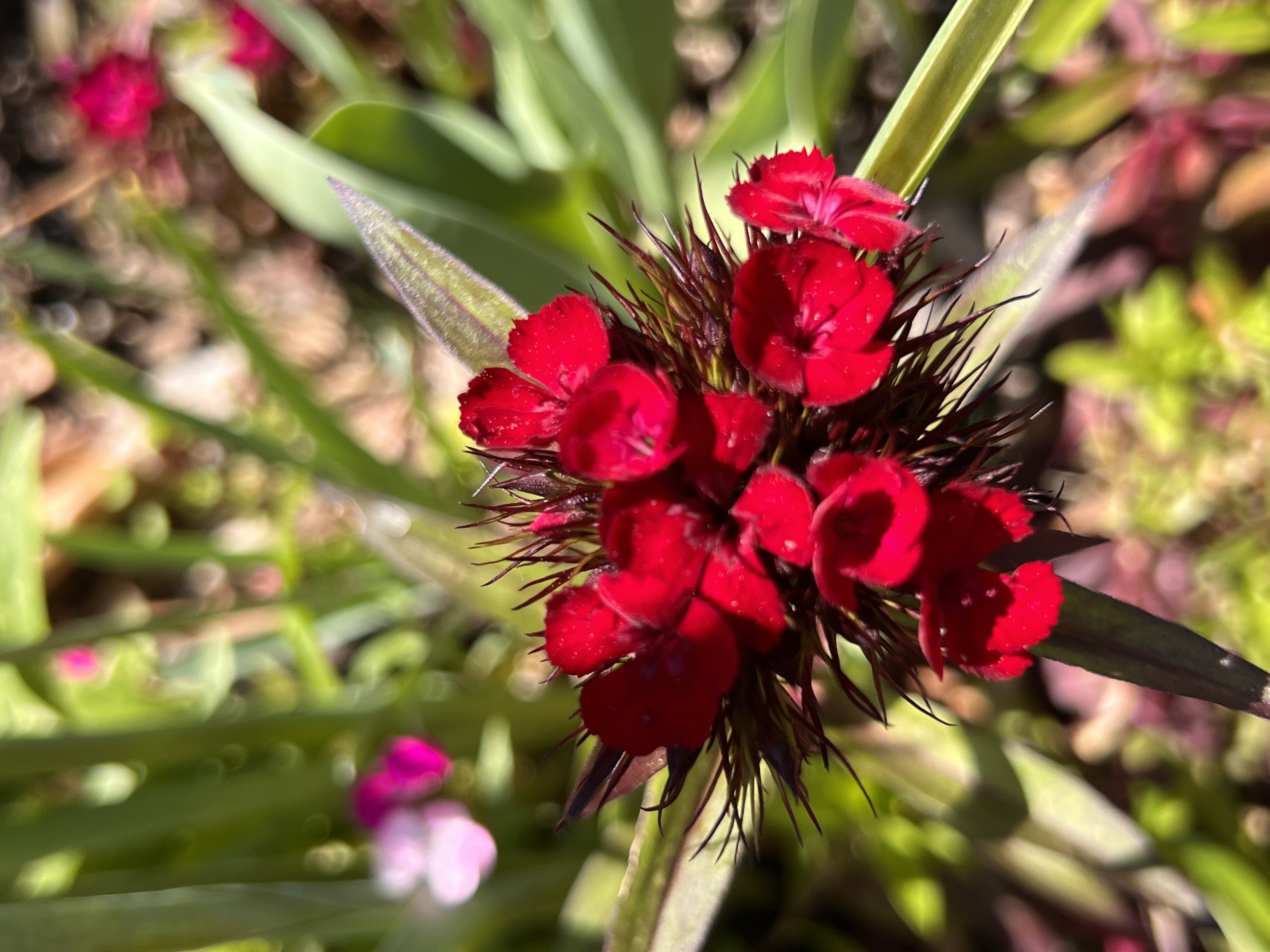 ./2023/05 - Toni Adventures/IMG_3207.JPG